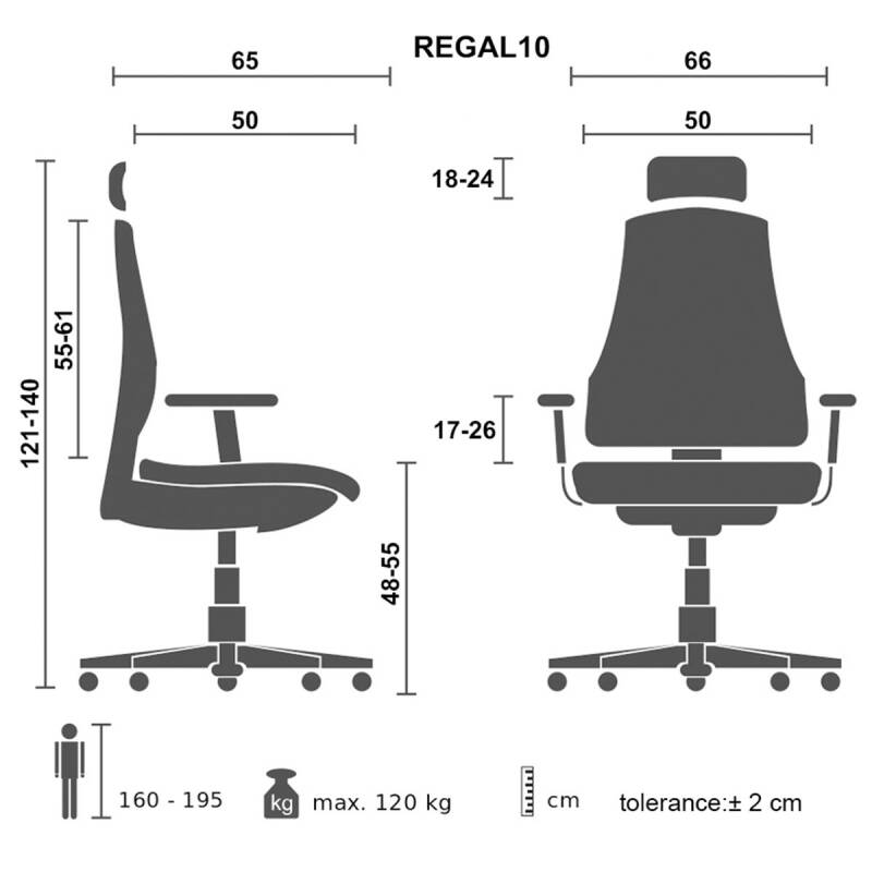 RGL10 - CAS FULL ORTOPEDİK VİP OFİS KOLTUĞU - 6